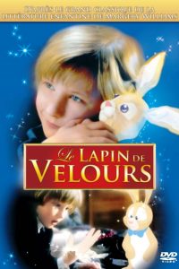 LAPIN-DE-VELOURS-LE LAPIN DE VELOURS
