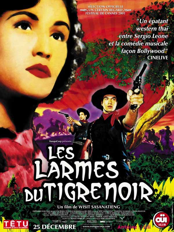 LARMES DU TIGRE NOIR